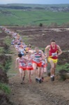 Click on thumbnail for larger photo